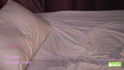 linda_more @ stripchat on 20250602