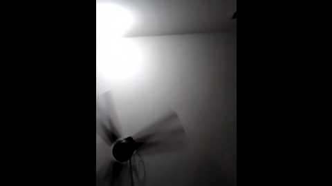 nouri_fathe @ stripchat on 20250602