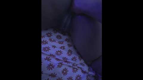 steady_rich @ stripchat on 20250602