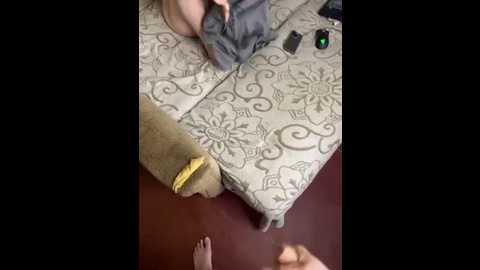 fregida @ stripchat on 20250603