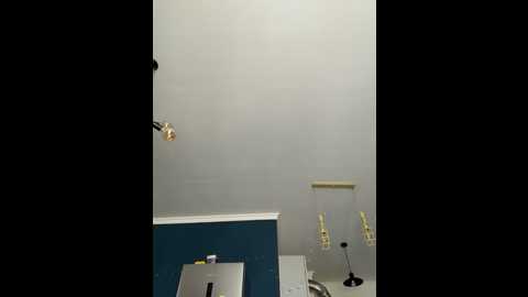 nickilike @ stripchat on 20250603