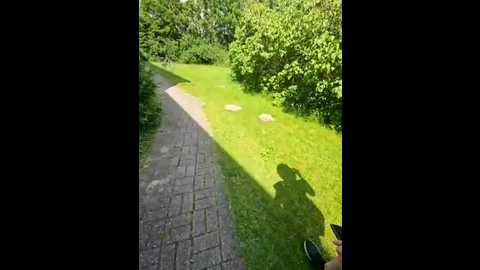 purenaturehaze @ stripchat on 20250603