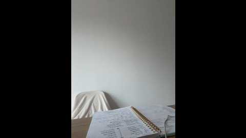 streetdoll @ stripchat on 20250603