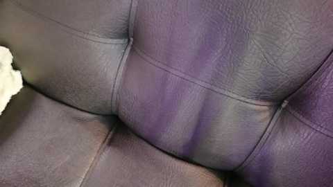 lilithandpaul @ stripchat on 20250604