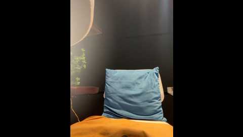 linh_2004 @ stripchat on 20250604