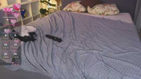 miss_girrl @ stripchat on 20250604