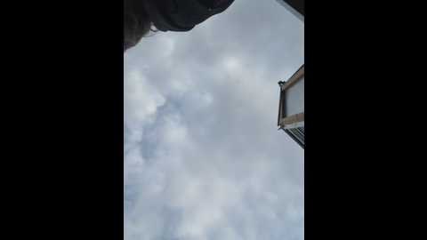 musae @ stripchat on 20250604