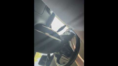 oh_lovelyeva @ stripchat on 20250604