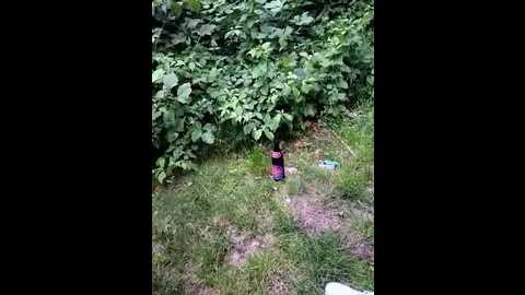 secret_couple_ @ stripchat on 20250604