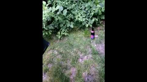 secret_couple_ @ stripchat on 20250604