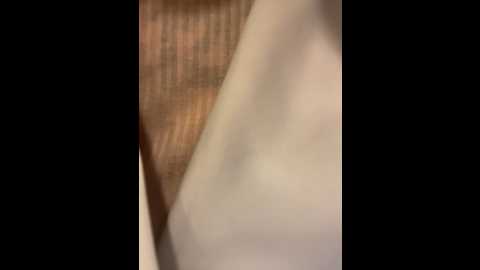 shuggybaby @ stripchat on 20250604