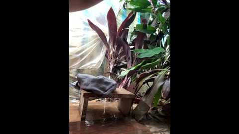 xinxin124 @ stripchat on 20250604