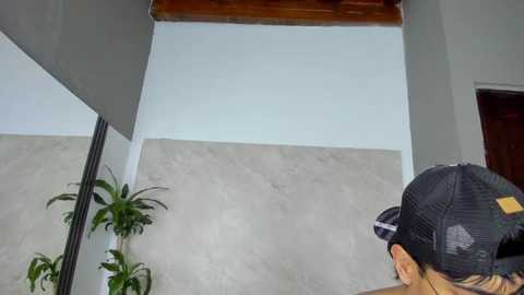 abby_chad @ stripchat on 20250605