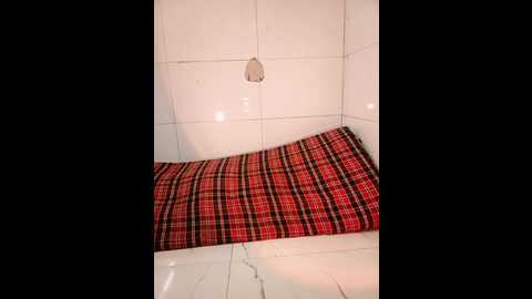 alina_398