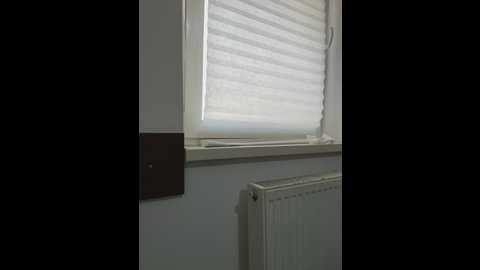 almmaxxxx @ stripchat on 20250605