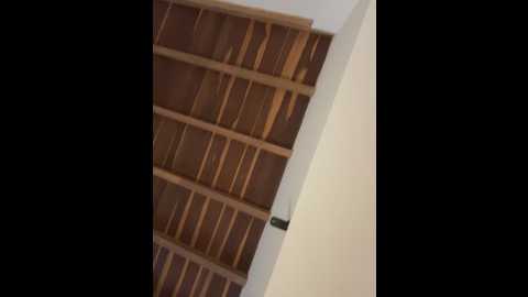 curchez_ @ stripchat on 20250605