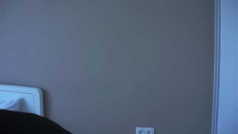 angelinawhirie @ stripchat on 20250606