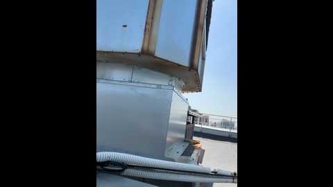 musae @ stripchat on 20250606