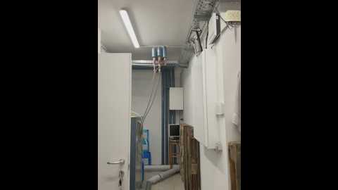 busetarsus @ stripchat on 20250609