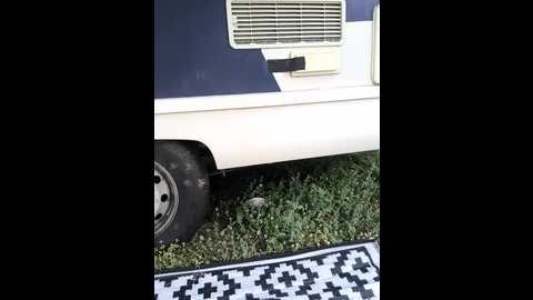 goldloeckchen159 @ stripchat on 20250609