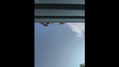 didihairypussy @ stripchat on 20250610