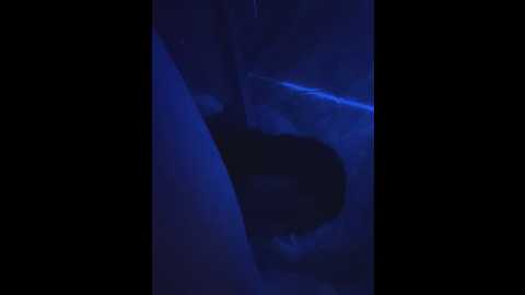 elen @ stripchat on 20250610