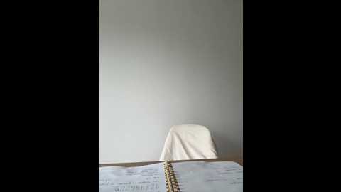 streetdoll @ stripchat on 20250610