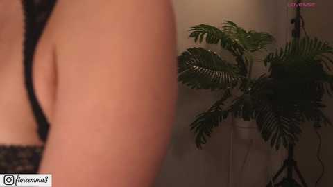 afrodita__25 @ stripchat on 20250611