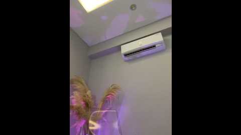 amberonee31 @ stripchat on 20250611