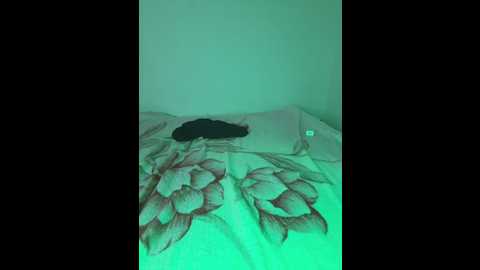 elina_marina @ stripchat on 20250611