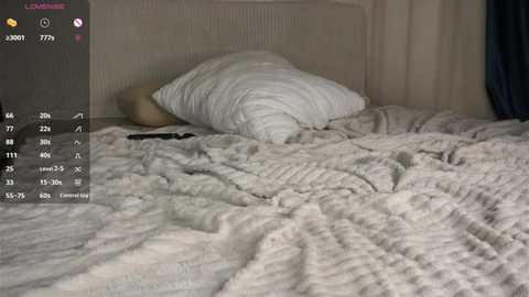 esmahesley @ stripchat on 20250611