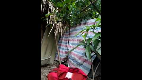 hana_zk3 @ stripchat on 20250611