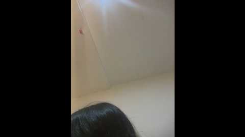 indialatin @ stripchat on 20250611