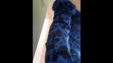 ladywithbigass @ stripchat on 20250611