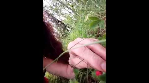 gypsyesmeralda @ stripchat on 20250612