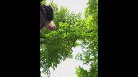 liza_risky @ stripchat on 20250612