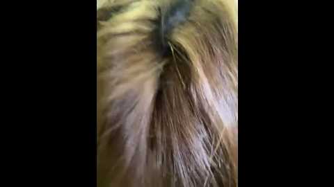 south_carolina @ stripchat on 20250612