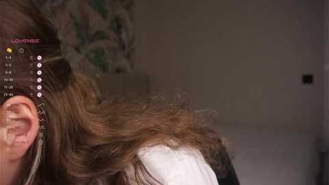 wildaheldreth @ stripchat on 20250612