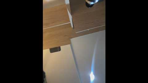 indialatin @ stripchat on 20250613