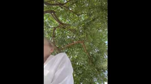 aniemiller @ stripchat on 20250614