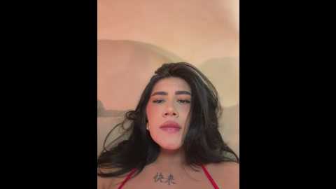 clarachanelricek @ stripchat on 20250614