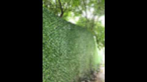 didihairypussy @ stripchat on 20250614