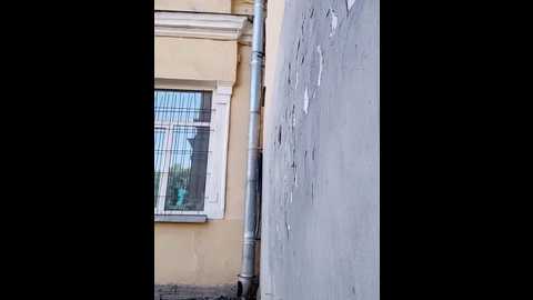 wandernicole @ stripchat on 20250614
