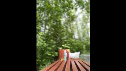 angelinateller @ stripchat on 20250615