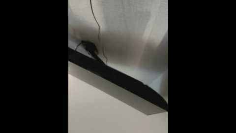 angelinateller @ stripchat on 20250615