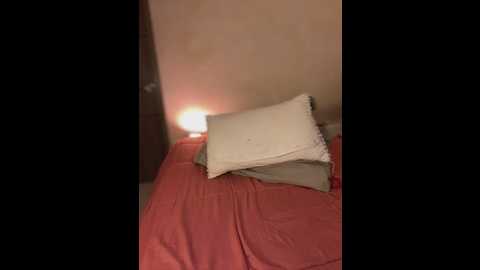 clarachanelricek @ stripchat on 20250615