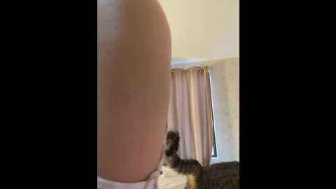 cuteerose @ stripchat on 20250615