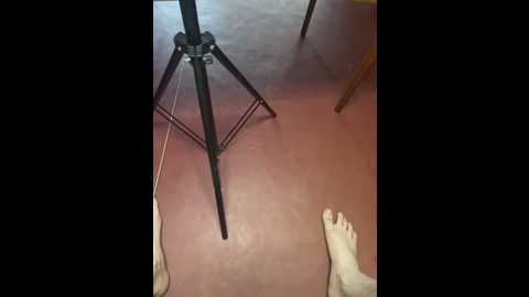 fregida @ stripchat on 20250615