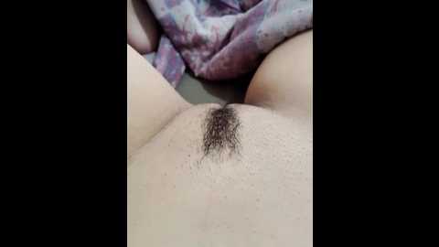 icee006 @ stripchat on 20250615