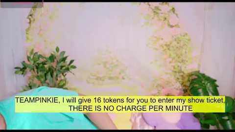 pinkie_princes @ stripchat on 20250615